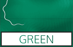 Green carton
