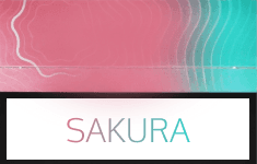 Sakura carton