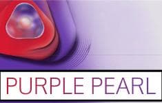 LEVIA Purple Pearl carton — 200 sticks